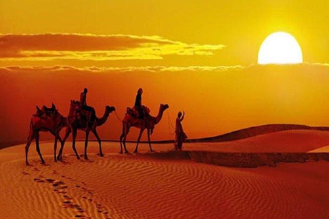 Desert Sunset